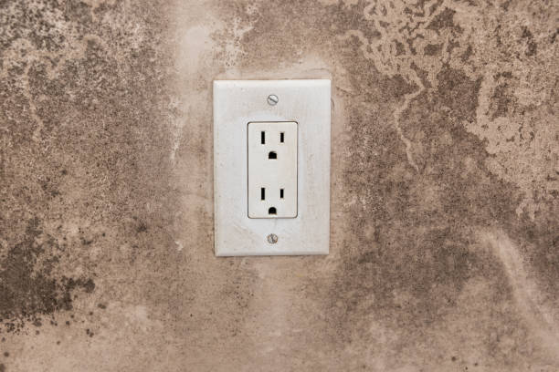 Best Mold Prevention Services  in Trevose, PA
